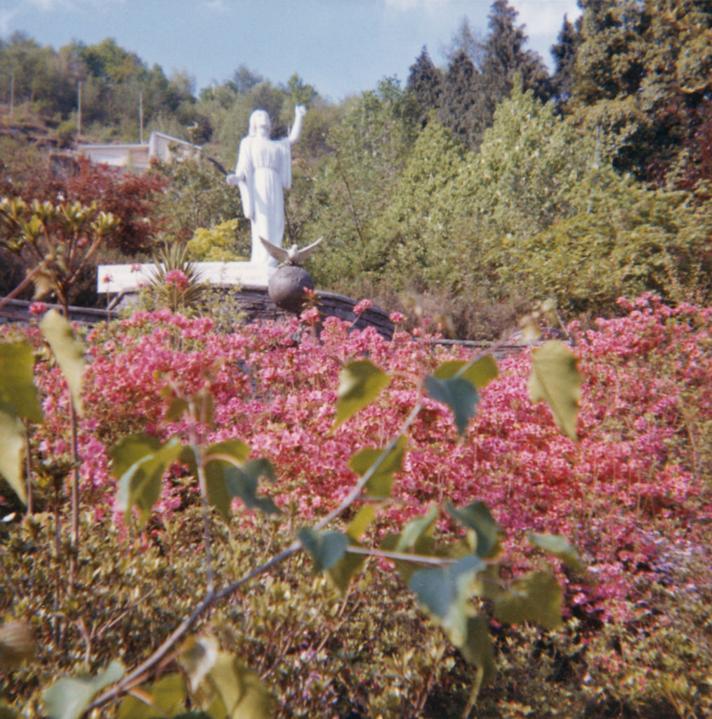 The garden of peace